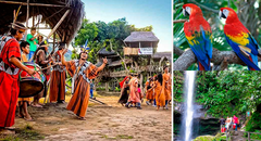 Descubre los fascinantes destinos de la selva en este feriado largo [FOTOS]