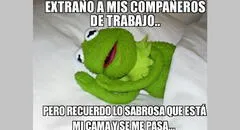 El Día del Trabajo se celebra en cuarentena y las redes sociales estallan con estos divertidos memes
