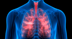 Fibrosis pulmonar: ¿Qué le sucede al órgano cuando se presenta la enfermedad?