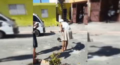 YouTube Viral: Video donde perro y gato se aparean genera asombro en la red