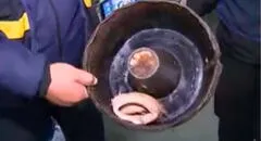 Clausuran panificadora en Comas que operaba en condiciones insalubres [VIDEO]