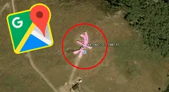Google Maps: halla ‘conejo rosa gigante’, hace zoom y descubre insólito secreto [FOTOS]