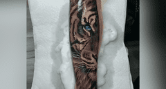 Se hace un tatuaje con diseño de tigre y el resultado impresiona a todos [VIDEO]