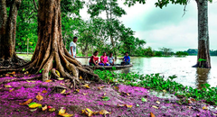 Selva Peruana: ¿Cuáles son los lugares turísticos obligados para todo amante de la aventura?