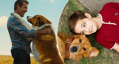 Netflix hace llorar a miles con película que conmueve a amantes de los animales: ¿de qué trata?