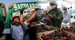 Arabia Saudita: Exportaciones peruanas al país asiático crecieron 24,2% hasta setiembre
