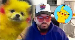 Hombre es multado luego de que pintara a su perro para que luzca como Pikachu