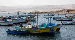 Produce sigue sin emitir los lineamientos para formalizar a la flota pesquera del norte