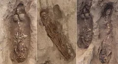 Descubren en Lambayeque cuerpos de 29 personas enterradas hace más de 1.000 años 