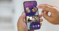 Google Fotos: lleva la foto de tus mascotas a la pantalla de inicio de celular con el nuevo Widget 