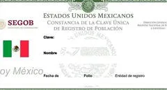¿Cómo sacar mi CURP gratis y por internet?: consulta y descarga paso a paso