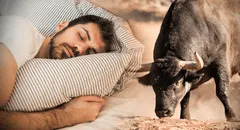 Significado de soñar con toros: ¿es un mal presagio o no?