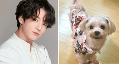 BTS: falleció mascota de Jungkook y así se despidió el hermano del idol k-pop