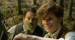 “Animales fantásticos 3″: guía básica de las criaturas mágicas de Newt Scamander