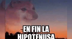¿Qué significa la frase “En fin, la hipotenusa” y en qué situaciones suele utilizarse?