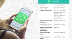 WhatsApp: ¿sabías que puedes tener un informe de toda tu actividad?