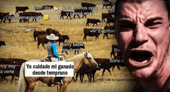“Se te juntó el ganado”: ¿qué significa esta frase muy usada por los jóvenes en redes sociales?