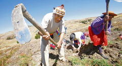 Día del Campesino: ¿cuál es su origen y por qué es importante conmemorar esta fecha?