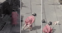 ¿Dulce venganza? Gato hace caer al piso a mujer que le arrojó agua: “La venganza del michi"