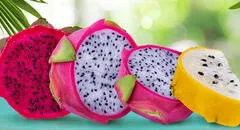 ¿Cuáles son los beneficios de la pitahaya y por qué debes consumirla?