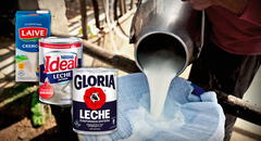 Ganaderos optan por vender leche fresca a Nestlé y Laive porque Gloria les bajó el precio