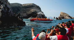 Paracas: visitas a islas Ballestas se reanudan tras suspensión por oleajes anómalos