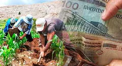 FertiAbono 2023, LINK oficial: ¿cómo saber si soy beneficiario con mi DNI y hasta cuándo podré cobrar?