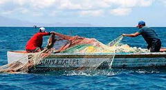 Aprueban dictamen para que las 5 primeras millas del litoral sean de uso exclusivo de la pesca artesanal