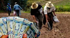Bono FertiAbono 2023: conoce el LINK oficial y revisa si te corresponde este apoyo económico