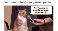 Día del Abogado: los memes más ingeniosos que circulan en redes
