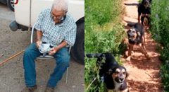 Rescatan a hombre de 103 años de incendio en Chile, pero sus perros no logran escapar