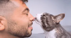 ¿Cómo saber si mi gato me quiere? Estas 4 señales confirman que te aprecia mucho