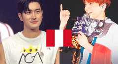 SUPER JUNIOR en Perú 2023: ¿qué proyectos realizará el fandom ELF por el concierto en Lima?
