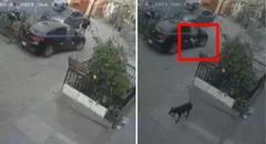 Ate: delincuente huye de robo tras ser impactado con un ladrillo lanzado por vecinos