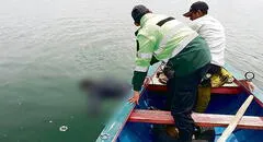 Hallan y rescatan 2 cadáveres que flotaban a un costado de bote en lago Titicaca
