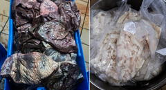 Hospital Lima Este: reportan 80 kilos de carne en mal estado para consumo de pacientes y personal