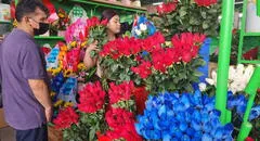 ¡A precios módicos! Ofertan desde S/25 la docena de rosas en el Mercado de Flores por San Valentín
