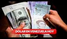 DolarToday y Monitor Dólar: precio del dólar paralelo HOY, 20 de febrero, en Venezuela