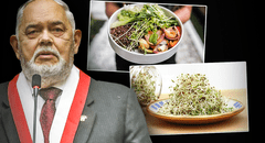 ¿Comida de tercera? Conoce estas 3 recetas fáciles y nutritivas con alfalfa