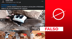 Estas sí son ratas de rescate, pero no están trabajando en Siria y Turquía tras el terremoto