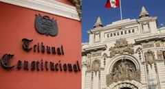 Congreso: estos son los organismos sobre los que tendría poder absoluto tras decisión del TC
