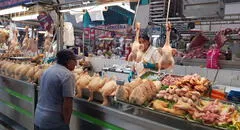 Costo del pollo no disminuye en mercados: ¿cuál es su precio y por qué incrementó?