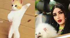 ¿Quién es Bellakath, cantante del tema “Una gatita que le gusta el mambo”?