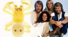 ¡Mamma mia, una araña! Científicos nombran como Abba a nueva especie de arácnido