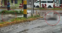 Dos perros mueren electrocutados tras pisar cables mojados por las lluvias en Trujillo