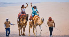 ¿Quieres conocer camellos en Ica? Conoce cómo llegar y cuánto cuesta vivir esta aventura
