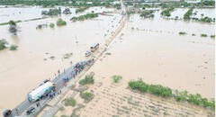 Río Reque se desbordó y afectó a más de 500 hectáreas de cultivos en Lambayeque