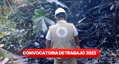 ¿Eres técnico o universitario? OEFA abrió una convocatoria laboral con sueldos de hasta S/10.000