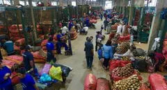Gran Mercado Mayorista de Lima: ¿qué alimentos bajaron de precio este jueves?