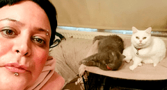 Tras quedarse sin trabajo, mujer asegura comer una vez por semana para poder mantener a sus gatos